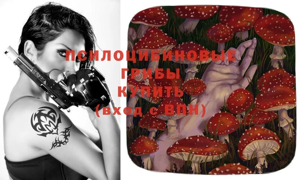 дурь Богданович