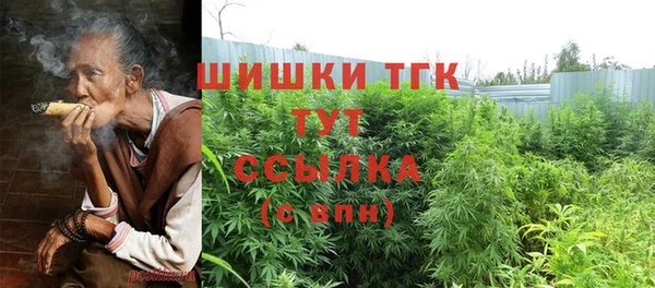 дурь Богданович