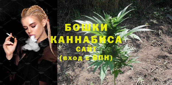 стафф Богородск