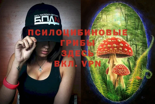дурь Богданович
